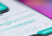 vivo手机更换账户密码忘了旧密码怎么办？