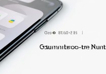 vivox20怎么自定义手机铃声？详细步骤教程来了