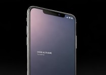 苹果xsmax怎么隐藏横线