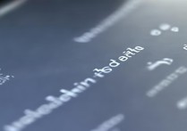 vivo开发模式怎么保存