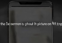 苹果手机怎么设置头像？新手操作步骤详解，你学会了吗？