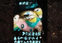 vivox5m耳机怎么不凸出来？耳机插头没完全插入怎么办