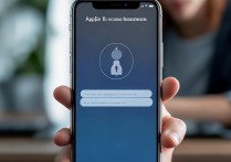 苹果手机需要ld密码忘记了怎么办？ld密码忘了怎么找回