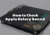 苹果手机电池品牌怎么查询？官方渠道和第三方方法有哪些？