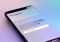 vivo手机序列号怎么查？官网入口和步骤是什么？