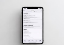苹果手机怎么查看网速