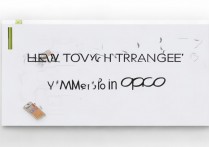 OPPO手机备忘录内容怎么翻译成中文？