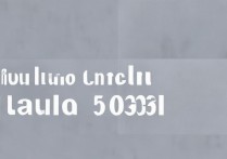 怎么可以进入华为5303？华为5303进入方法详解