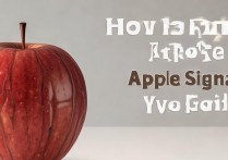 苹果信号格怎么恢复？苹果手机信号显示不见了怎么办