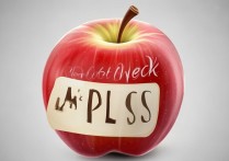 怎么查看苹果里的ld，苹果ld是什么以及如何查看