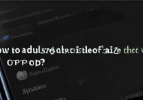 oppo手机图标大小怎么调？系统设置里能自定义调整吗？