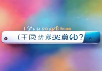 vivox9plus免息怎么买？分期免息流程和条件是什么？