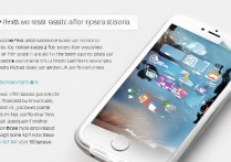 苹果6访问限制密码忘了咋办？