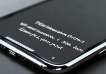 苹果手机如何强制恢复出厂设置?