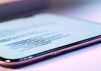 vivox30如何关闭指纹识别时的屏幕亮度调节功能？