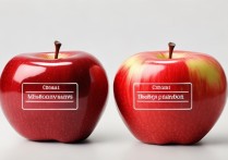 苹果两个内存怎么看