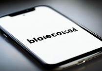 OPPO被拉黑后，手机会有哪些提示或表现？