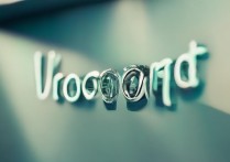 vivoroot完怎么授权