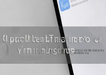 oppo双击放大怎么取消？OPPO手机双击放大关闭方法