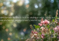 vivox9相机怎么拍背景虚化？人像模式虚化技巧有哪些？