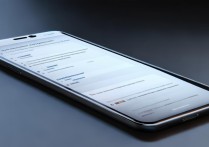 vivoiqooneo3开发者怎么不提示