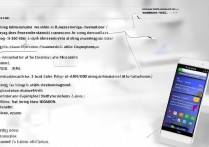 三星9300怎么设置静态ip？详细步骤是什么？