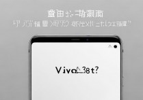 vivox3t音质怎么样？手机音质测评及选购疑问解答