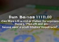 百度地图v10.11.0能同时叫出租专快车吗？怎么操作？