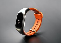 小米手环8Pro有哪些颜色