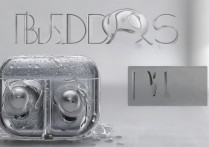 真我 BudsQ2s 可以防水吗？真我 BudsQ2s 防水等级是多少