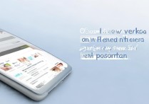 vivo怎么查看wifi密码