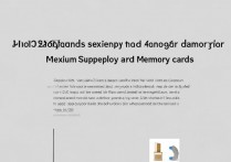 vivoX6 怎么扩展内存卡？vivoX6 支持最大多少 G 内存卡？