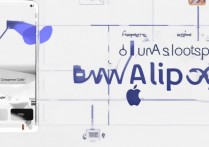 苹果play怎么使用支付宝？苹果手机绑定支付宝教程