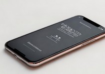 苹果X怎么标记照片？苹果X如何给照片添加标签？