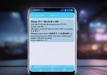 vivoy31玩大型游戏会卡吗?帧数稳定吗?