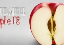 苹果怎么开启最大效果？iPhone 电池优化设置攻略