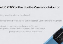 vivox5l双清后开不了机是什么原因导致的？