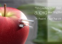 苹果怎么用otg功能吗