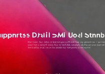 RedmiNote13Pro 支持双卡双待吗