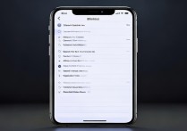 怎么看黑名单电话苹果手机
