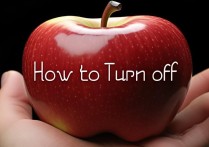 苹果上面手势怎么关掉