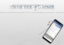 vivoy29l用手机怎么刷机包，vivoy29l刷机包下载教程