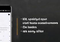 oppo6的相机怎么调