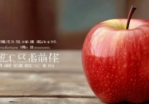 苹果小红点怎么弄没？iPhone桌面小红点如何彻底关闭