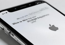 苹果手机电话来没声音是怎么回事？来电没声音怎么设置回来