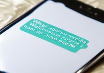 为什么苹果手机微信语音没有声音怎么回事啊