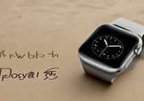apple watch 回收