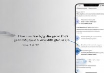 vivo Y67连接OTG设备后文件怎么传输？