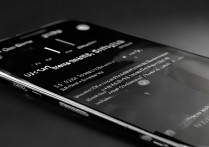 oppo手机如何彻底关闭风险软件？设置路径在哪？