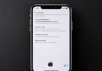 苹果手机怎么关闭农历显示？详细步骤教程